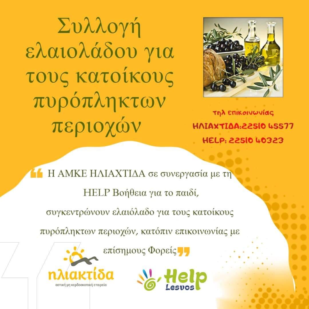 Συλλογή ελαιόλαδου για τους κατοίκους πυρόπληκτων περιοχών